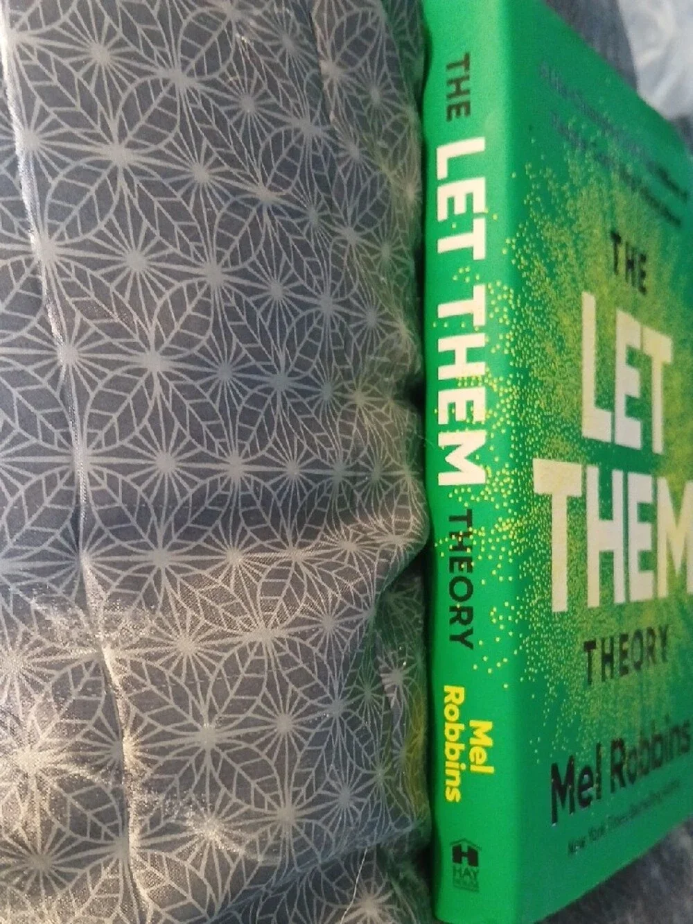 The Let Them Theory By Mel Robbins New York Times Bestselling Author